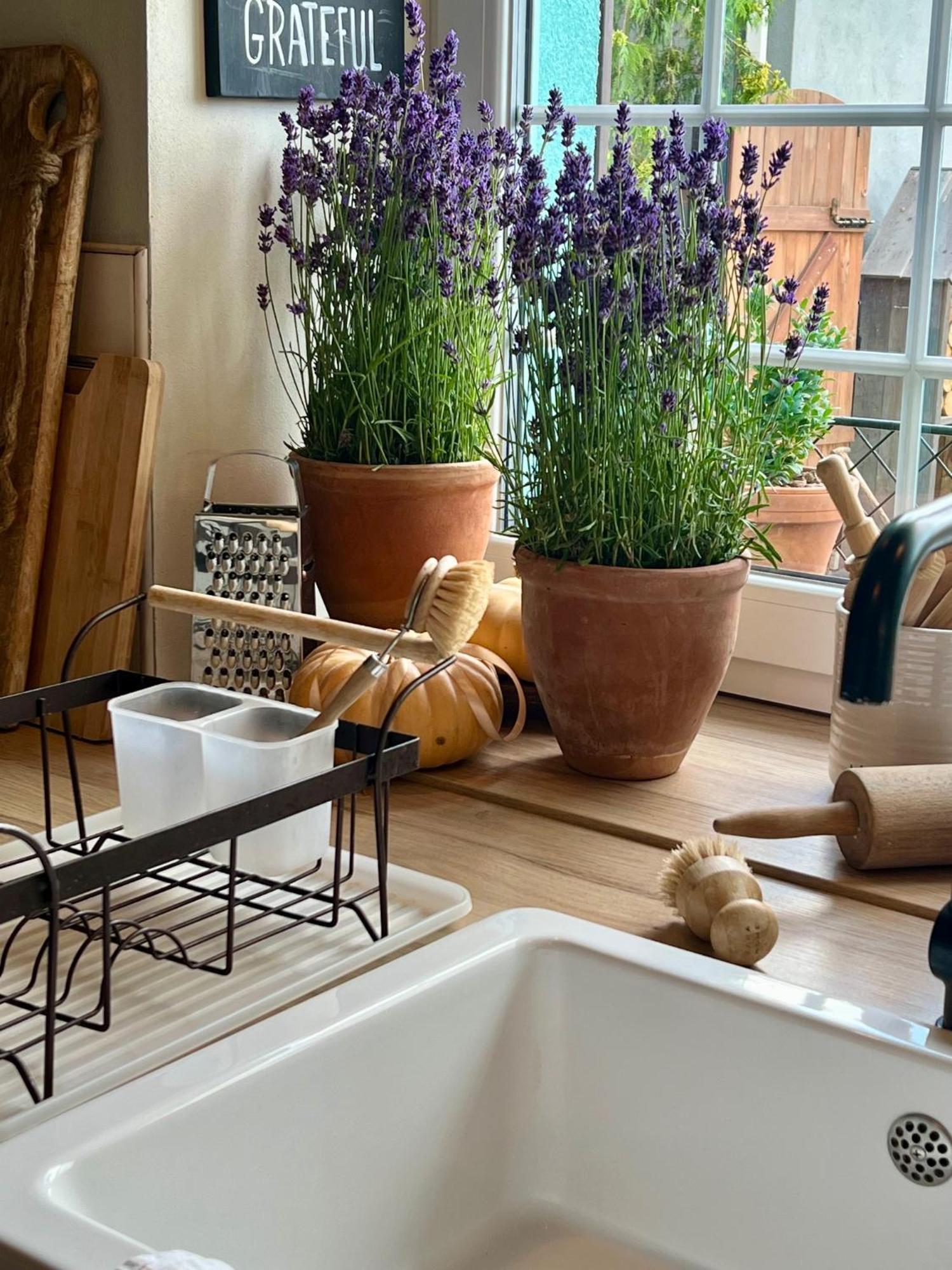Orchardhouse Farmhouse, Wellness Chrast  Luaran gambar