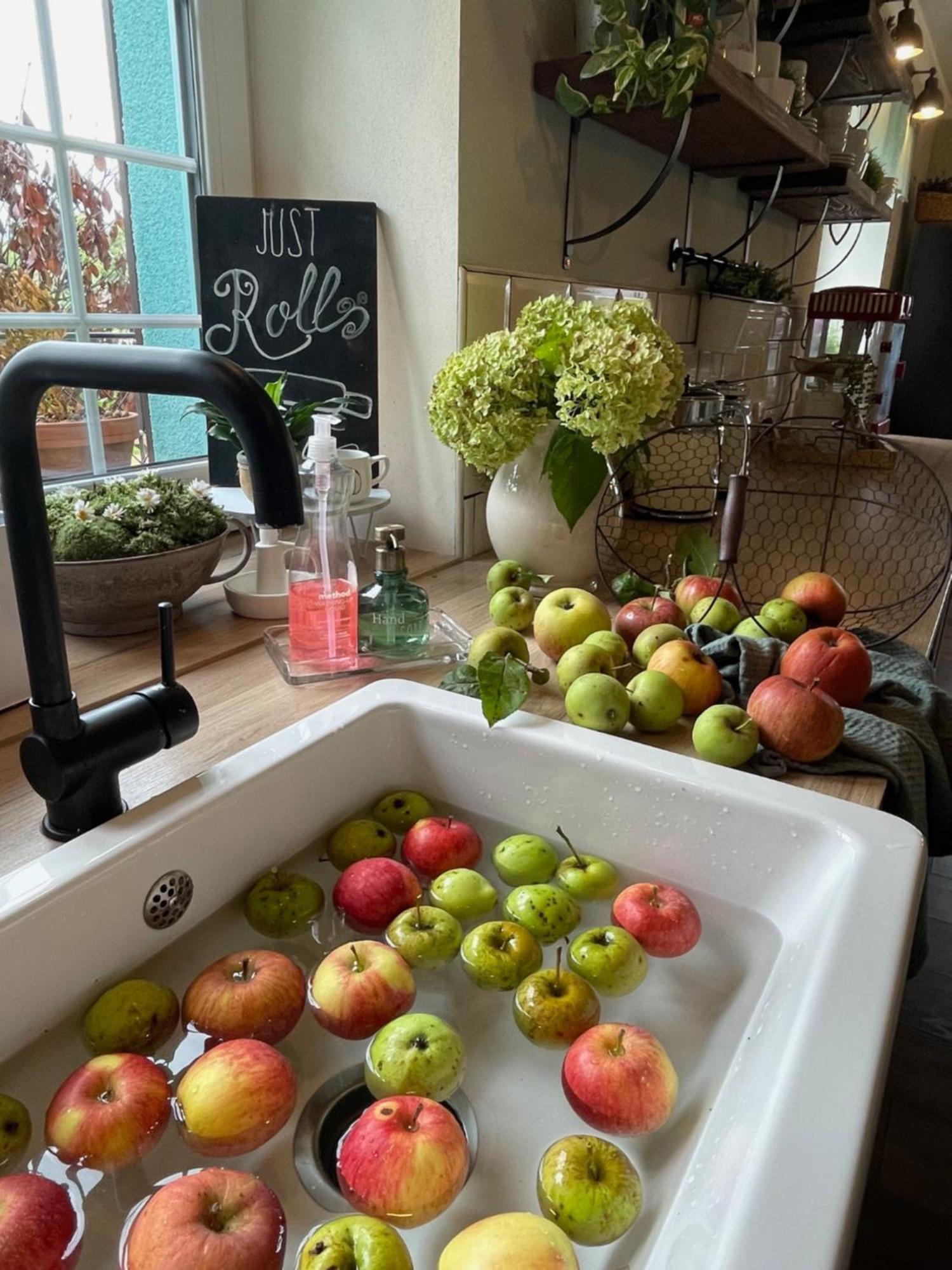 Orchardhouse Farmhouse, Wellness Chrast  Luaran gambar
